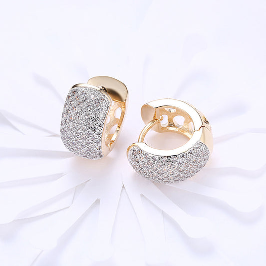 Radiant Round Crystal with Gold-Plated Hoop Earrings